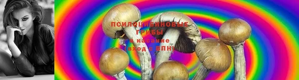 мдма Верхний Тагил